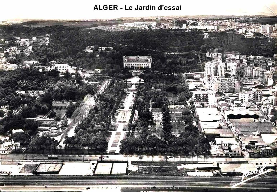 Alger - Le jardin d'essai.jpg
